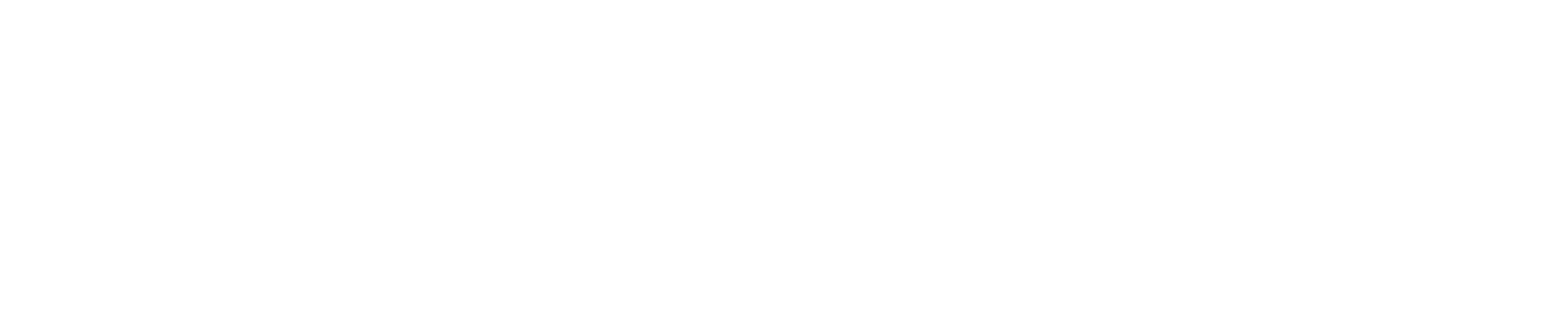 Developer MultiGroup
