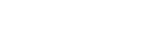 Turkish Technology